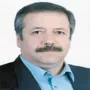 سید محمود حمیدی